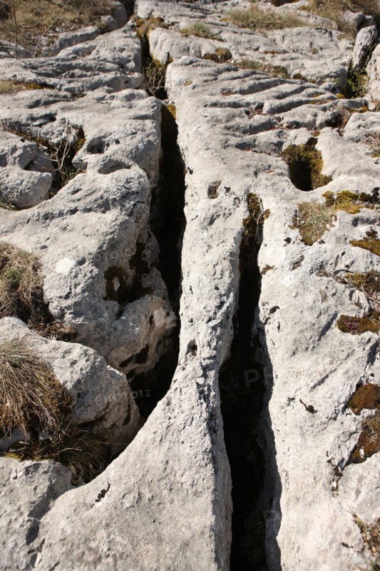 France, Loulle limestone pavement