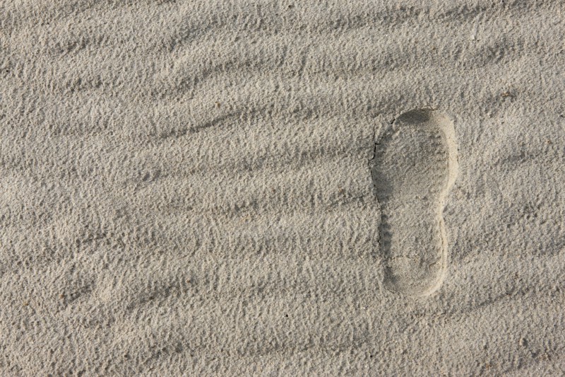 France, Basse Normandie, manche, cote des havres, portbail, littoral, mer, port, bateaux, port, maree basse, sable, estran, trace de pas, chaussure marquee dans le sol,