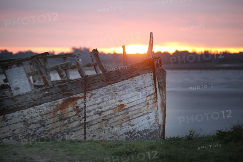 France, Basse Normandie, manche, cote des havres, portbail, littoral, mer, port, bateaux, cimetiere de bateaux, detail coque en bois,