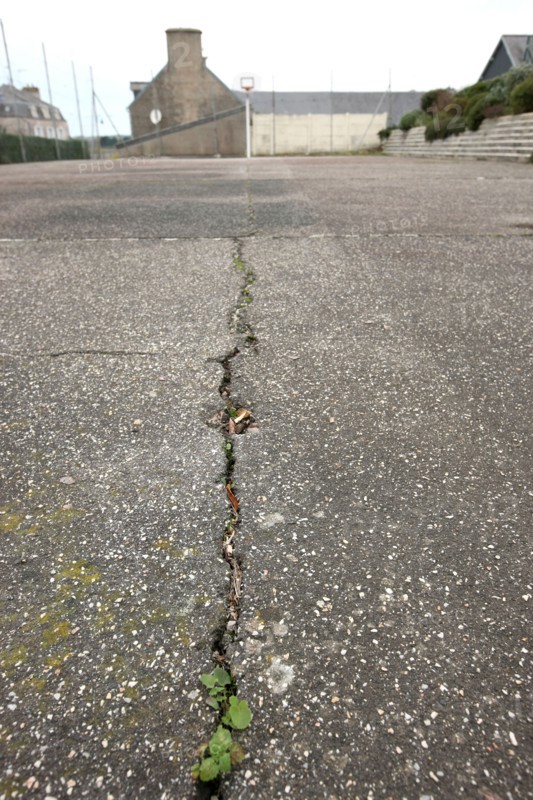 France, Basse Normandie, manche, cote des havres, portbail, littoral, mer, detail du sol, fissure, ciment, mousse,