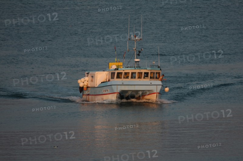 France, Bretagne, morbihan, quiberon, port maria, bateaux, chalutiers, catamaran de peche de retour au port,