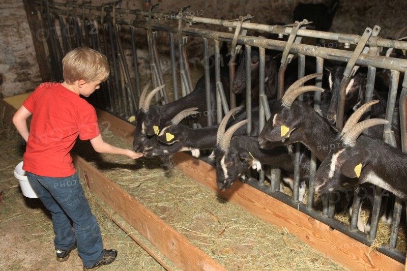 France, welcome to the farm