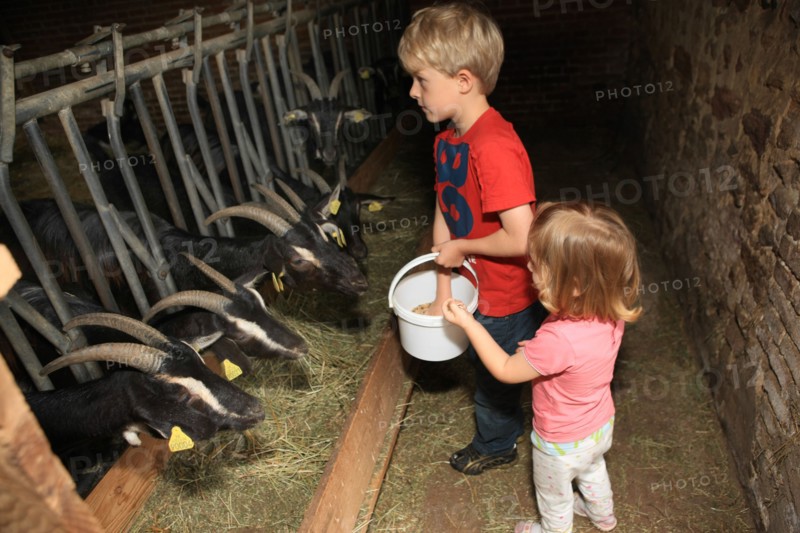 France, welcome to the farm