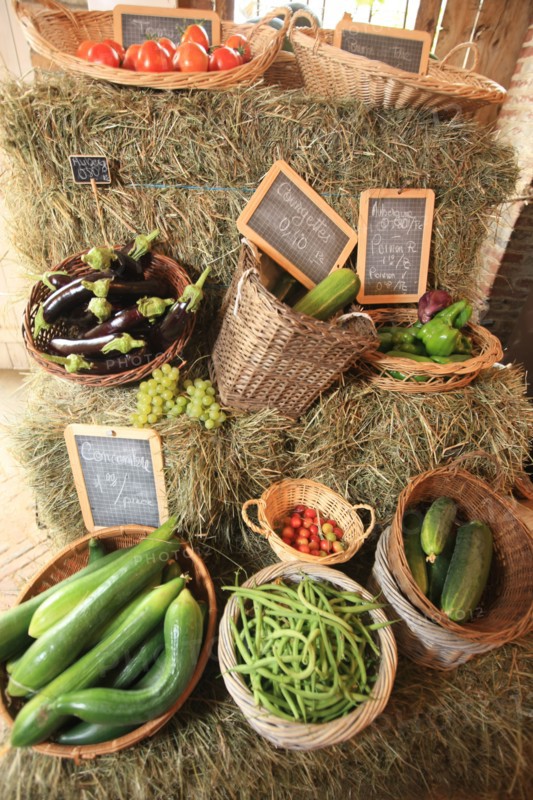 France, FERME DE LA MORICIERE