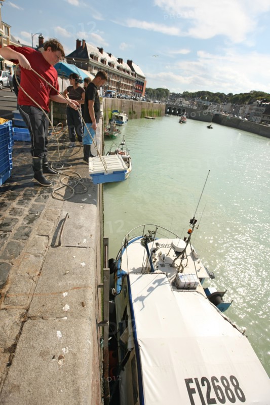 France, Haute Normandie, seine maritime, plateau de caux maritime, saint valery en caux, port, debarque et vente de la peche sur le quai, poisson, bateaux,