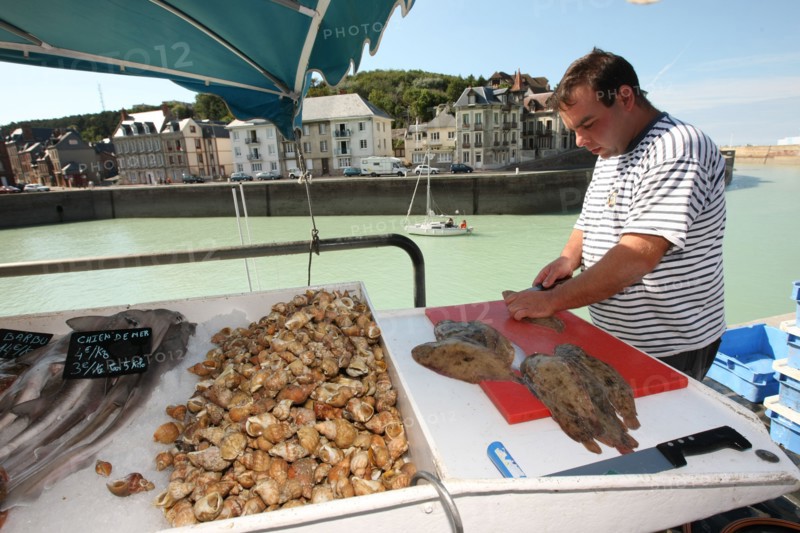 France, Haute Normandie, seine maritime, plateau de caux maritime, saint valery en caux, port, debarque et vente de la peche sur le quai, poisson, bateaux,