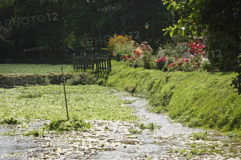 France, veules les roses