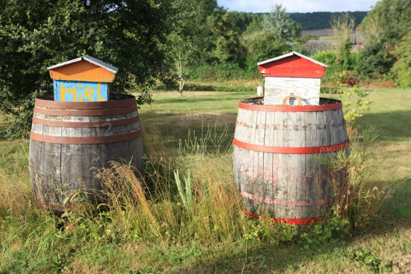 France, land