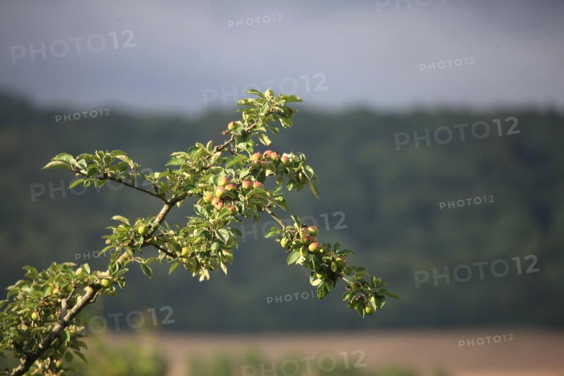 France, land