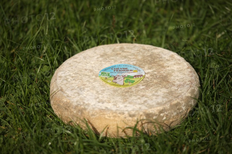 France, Haute Normandie, seine maritime, plateau de caux maritime, saisseville, chevrerie du vieux manoir, traite des chevres et fromages, agriculture biologique, gastronomie,