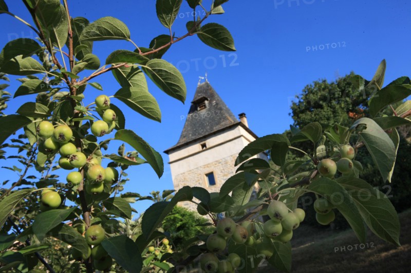 france, region midi pyrenees, tarn et garonne, varen, arnac, ferme de quyvie, sylvie et thierry bolmont, agriculture biologique, tomates, herbes aromatiques, alimentation, jardin, gite, colombier, pommes,