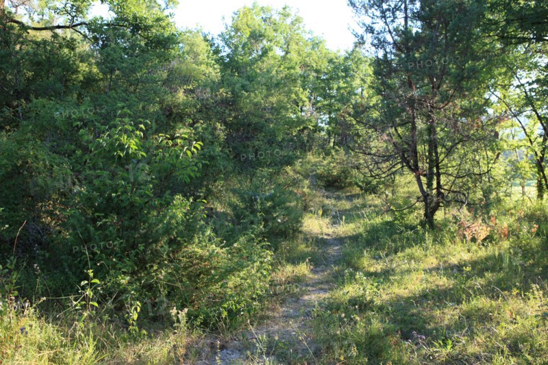 France, Arnac