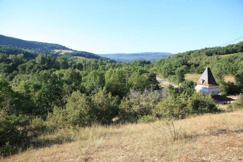 france, region midi pyrenees, tarn et garonne, varen, arnac, ferme de quyvie, sylvie et thierry bolmont, agriculture biologique, tomates, herbes aromatiques, alimentation, jardin, gite, colombier, causse, nature, herbes, panorama, vegetation,
