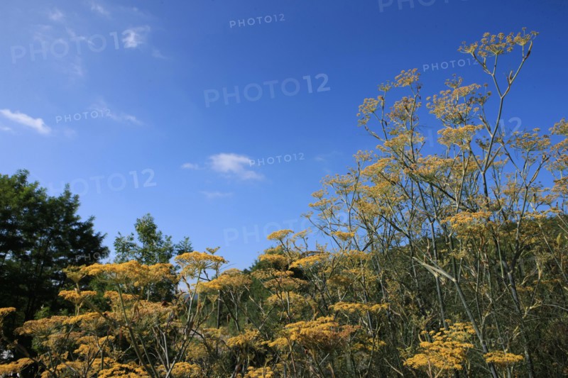 France, Arnac