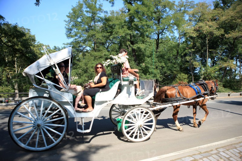 usa, etat de New York, New York City, Manhattan, Broadway, Central Park, jardin, building, promeneurs,