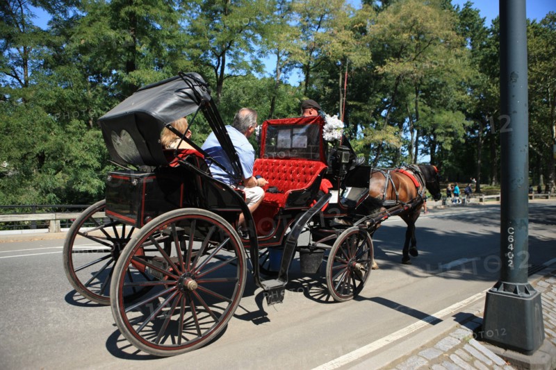 usa, etat de New York, New York City, Manhattan, Broadway, Central Park, jardin, building, promeneurs, caleche,