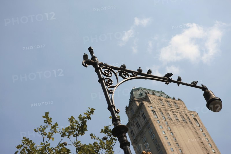 usa, etat de New York, New York City, Manhattan, Broadway, Central Park, building,