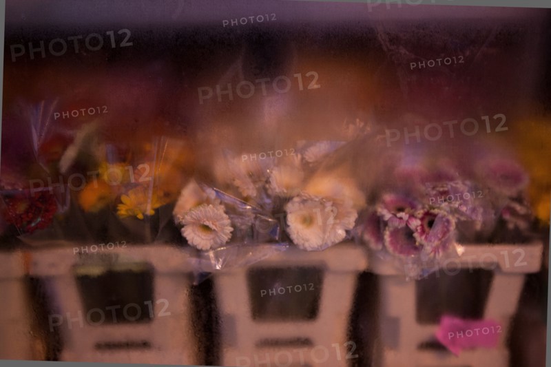 france, ile de france, paris, 14e arrondissement, nuit, matin, avenue du maine, magasin, fleuriste, fleurs dans la vitrine, 

Date : decembre 2012