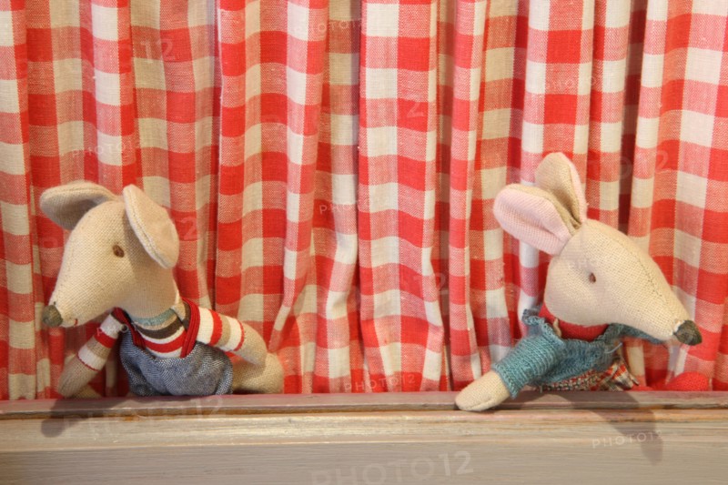 France, ile de france, paris 18e arrondissement, montmartre, 49 rue caulaincourt, boutiques de jouets, les petits monstres de montmartre, 
Date : 2011-2012