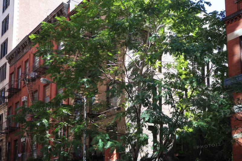 usa, state of New York, NYC, Manhattan, Soho,