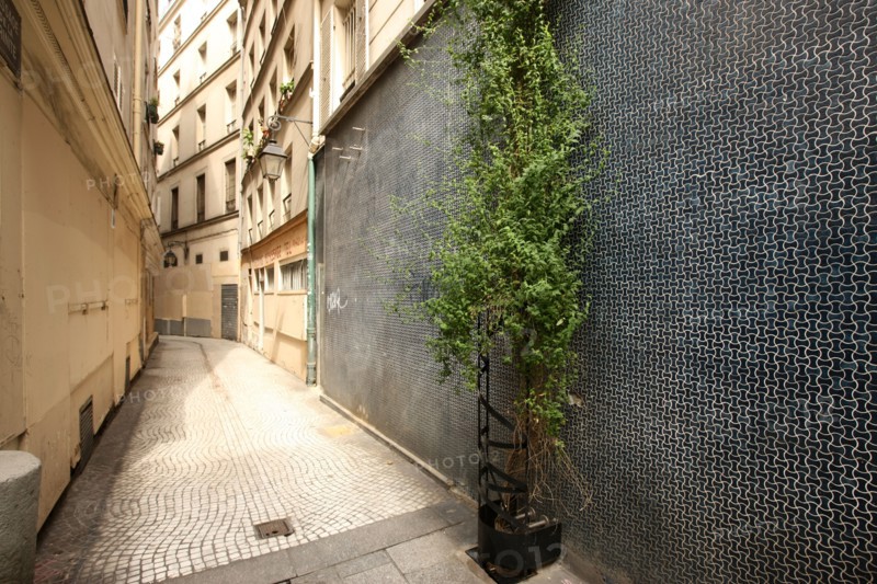 France, ile de france, paris 2e arrondissement, etienne marcel, passage de la trinite, paves, 
Date : 2011-2012