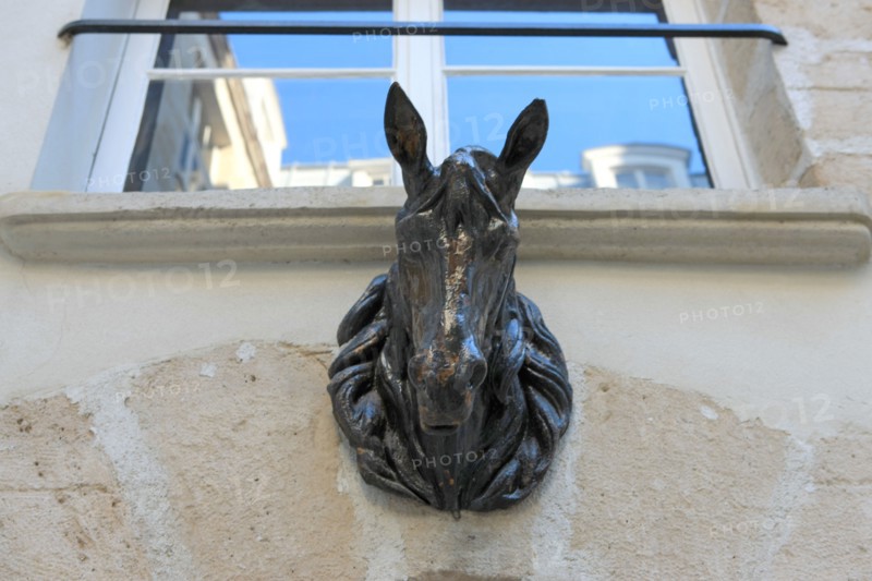 France, ile de france, paris 3e arrondissement, le marais, rue chapon, no22, hotel dorat, tete de cheval et tourelle d'angle, 
Date : 2011-2012