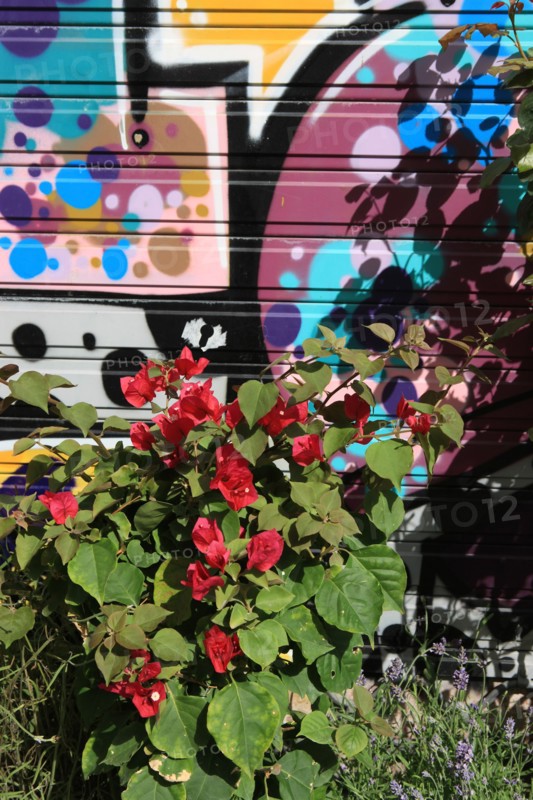 France, ile de france, paris, 3e arrondissement, rue vielle du temple, porte, fleurs, tags, graf, street art, bombes, pochoirs, 
Date : 2011-2012