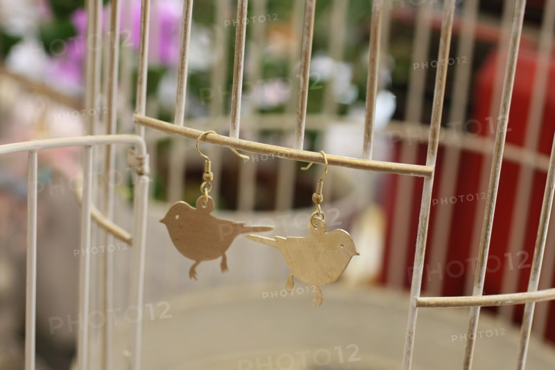 France, ile de france, paris 4e arrondissement, bastille, 2 rue de lesdiguieres, boutique bird on the wire, suicidal shops, gadgets, objets, 
Date : 2011-2012