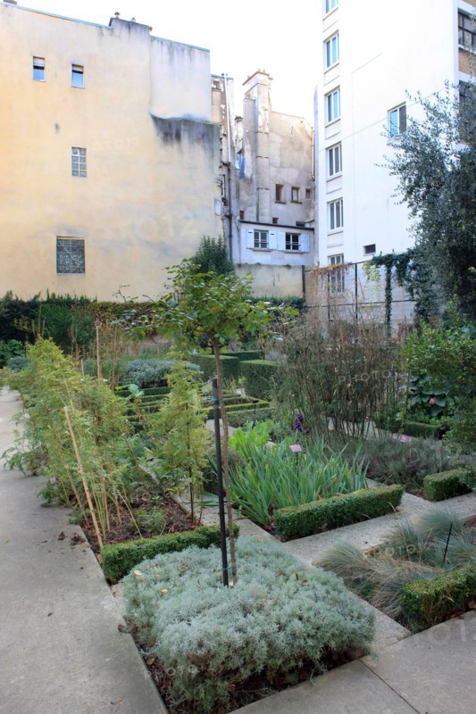 France, ile de france, paris 4e arrondissement, le marais, 21 rue des blancs manteaux, clos des blancs manteaux, jardin conservatoire.
Date : 2011-2012
