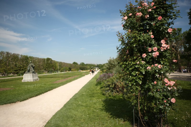 France, ile de france, paris 5e arrondissement, jardin des plantes, roses, statue de buffon.
Date : 2011-2012