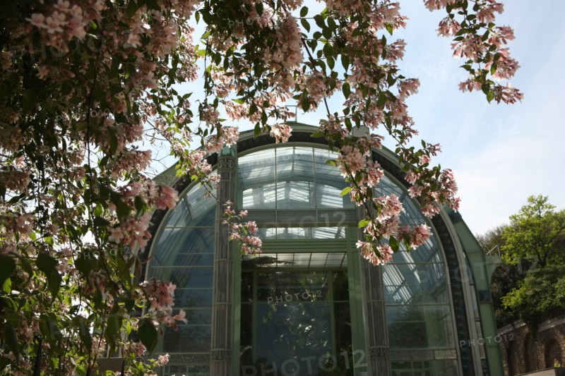 France, ile de france, paris 5e arrondissement, jardin des plantes, serres tropicales.
Date : 2011-2012