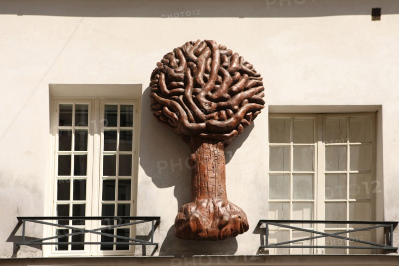 France, ile de france, paris 5e arrondissement, 69 rue mouffetard, detail, facade, mur, arbre.
Date : 2011-2012