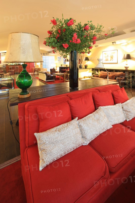 France, ile de france, paris 5e arrondissement, 23 rue victor cousin, cinema du pantheon, salon, decor, catherine deneuve.
Date : 2011-2012