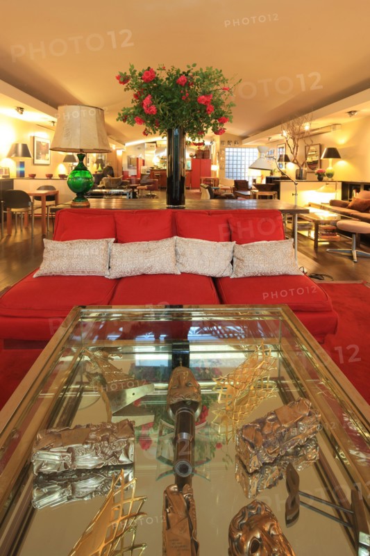 France, ile de france, paris 5e arrondissement, 23 rue victor cousin, cinema du pantheon, salon, decor, catherine deneuve.
Date : 2011-2012