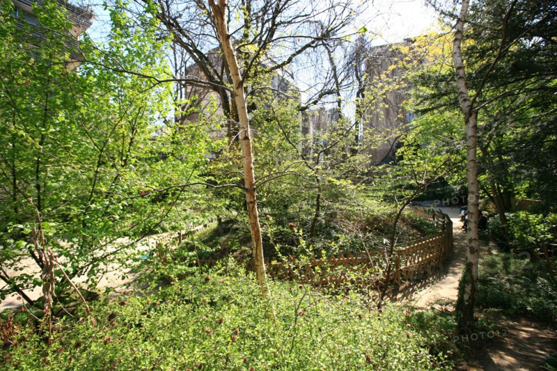 France, ile de france, paris 7e arrondissement, jardin roger stephane, au bout de la rue recamier.
Date : 2011-2012