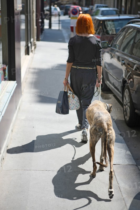 France, ile de france, paris, 7e arrondissement, rue de babylone, femme avec un levrier afghan, ombre sur le trottoir.
Date : 2011-2012