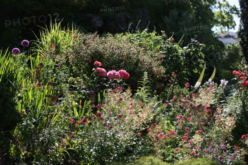 France, ile de france, paris, 8e arrondissement, parc monceau, jardin public

Date : 2011-2012