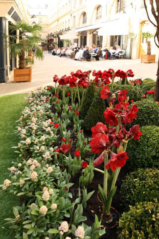 France, ile de france, paris 8e arrondissement, cite berryer, rue royale, boutiques, mode

Date : 2011-2012