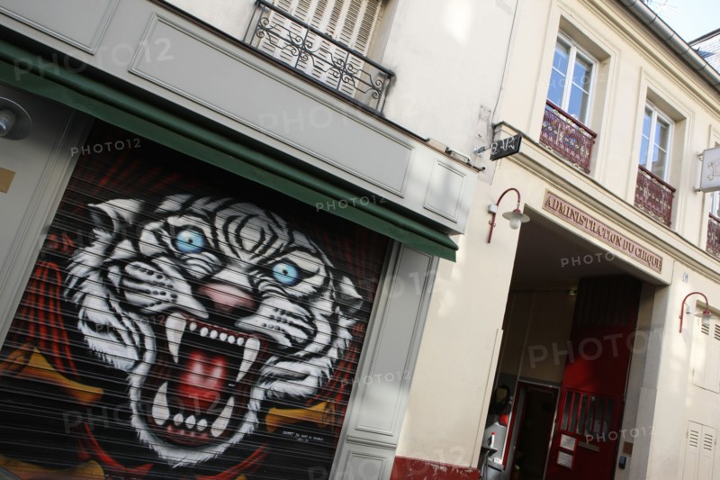 France, ile de france, paris 11e arrondissement, 1 rue de crussol, bar entree des artistes, jouxtant le cirque d'hiver, rideau de fer, tigre

Date : 2011-2012