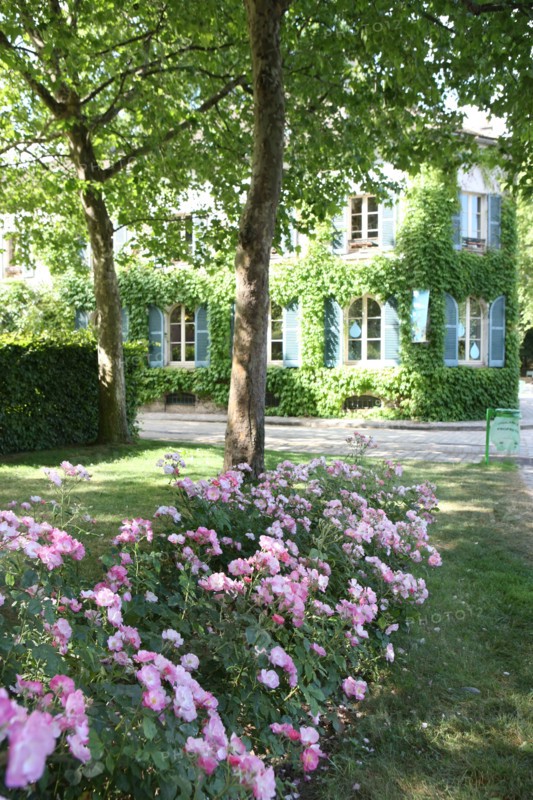 France, ile de france, paris, 12e arrondissement, bercy, parc de bercy, maison du jardinage, jardins potagers

Date : 2011-2012