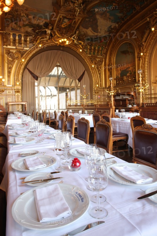 France, ile de france, paris 12e arrondissement, place louis armand, gare de lyon, restaurant le train bleu, gastronomie

Date : 2011-2012