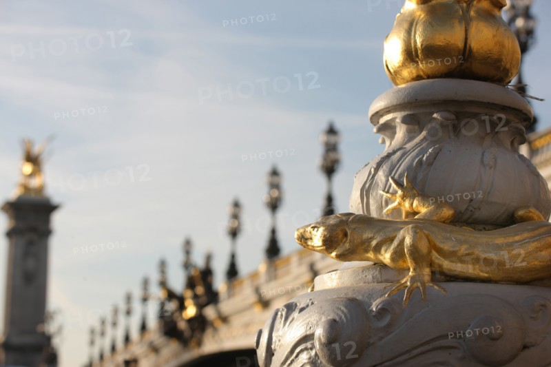 France, ile de france, paris 7e-16e arrondissement, pont alexandre III, seine, salamandre, quai,