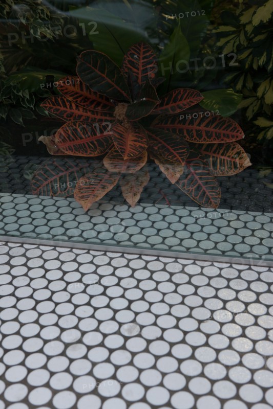 france, region ile de france, paris 7e arrondissement, rue de l'universite, detail fenetre et carrelage hexagonal,
