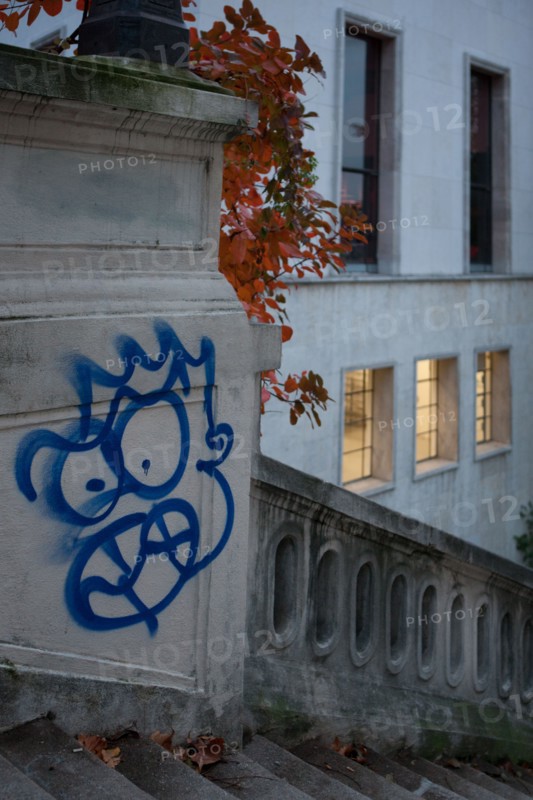 france, region ile de france, paris 16e arrondissement, avenue du president wilson, escaliers, graffiti tete , matin,