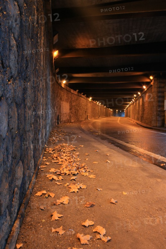 france, region ile de france, paris 7e arrondissement, pile du pont alexandre III, tunnel souterrain sous le pont, circulation, matin, fin de nuit, eclairage,