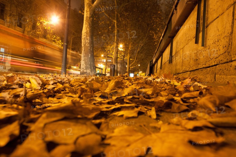 france, ile de france, paris, 1e arrondissement, ile de la cite, seine, quai de l'horloge, conciergerie depuis le quai de gesvres, nuit, matin,