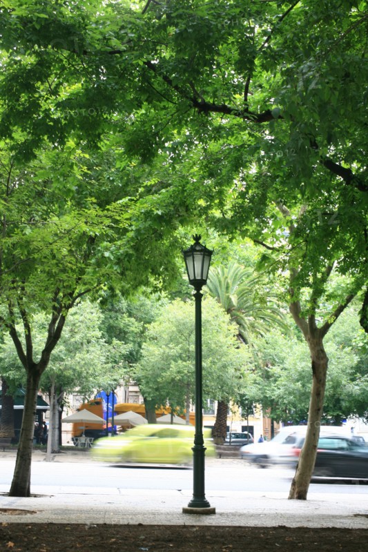 portugal, lisbonne, lisboa, signes de ville, principe real, arbres et circulation
Date : septembre 2011