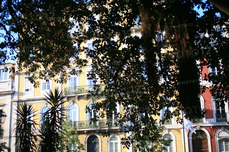 portugal, lisbonne, lisboa, signes de ville, principe real, arbres et circulation
Date : septembre 2011