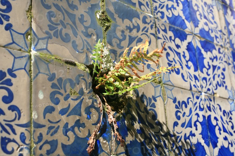 portugal, lisbonne, lisboa, signes de ville, alfama, azulejos, pres du musee d'archeologie, sol, voirie
Date : septembre 2011