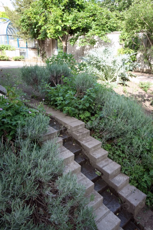 France, ile de france, paris 13e arrondissement, 22 Rue Pierre Gourdault, square heloise et abelard, jardin public,


Date : 2011-2012